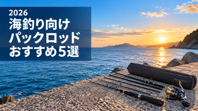 海岸の堤防に置いたパックロッドとリール